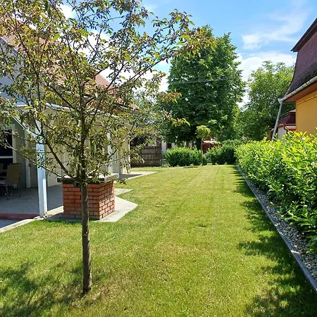 Oliva 8 Fős Balatoni *